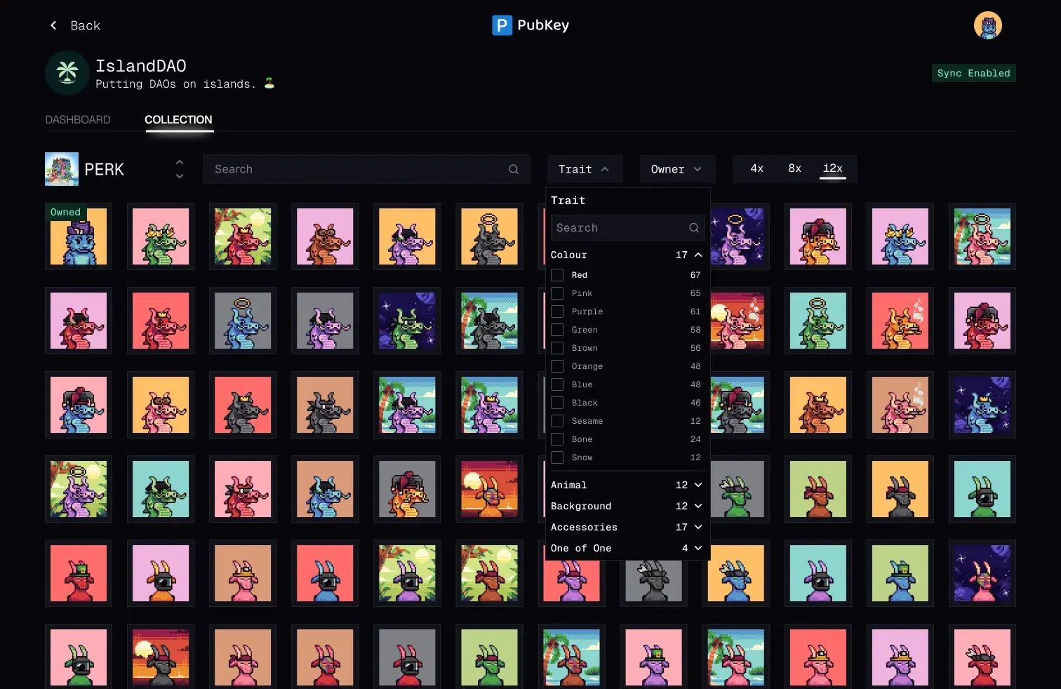 Improved Pubkey NFT collection trait filter